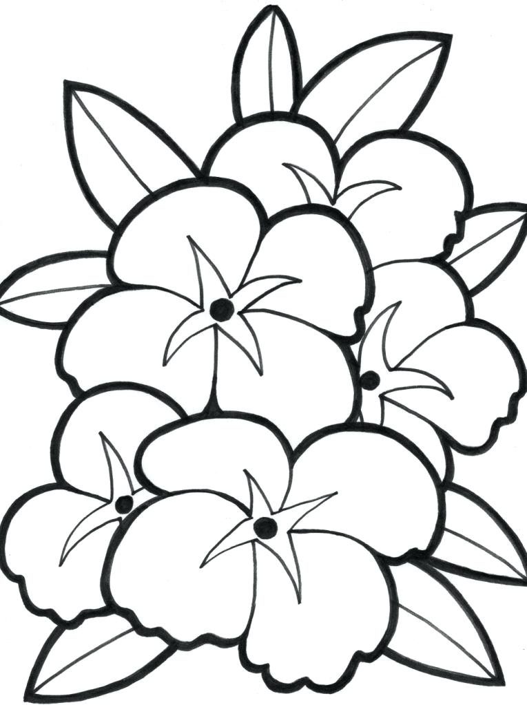 765x1024 Cute Flower Coloring Pages Cute Flower Coloring Pages For Kids