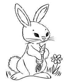 235x266 Pin By Tad On Bee