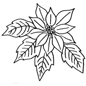 300x300 Free Printable Coloring Pages