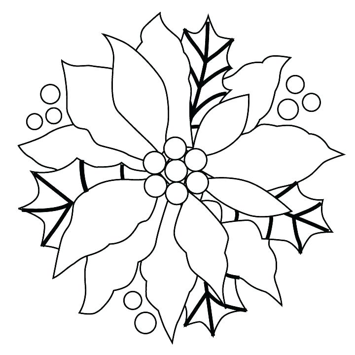 720x720 Poinsettia Coloring Page Poinsettia Coloring Pages Poinsettia