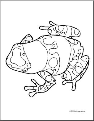 304x392 Clip Art Frogs Yellow Banded Poison Dart Frog (Coloring Page) I
