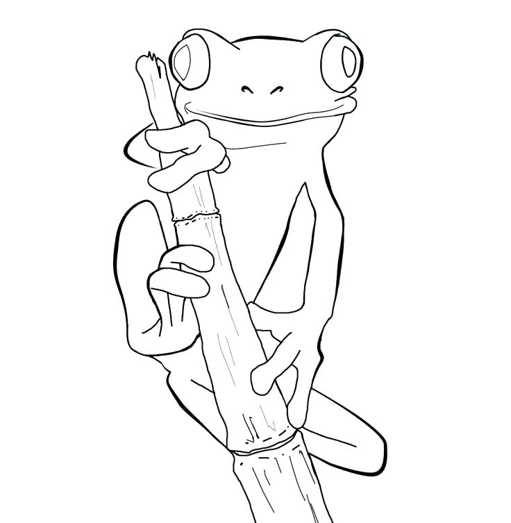 736x753 Cartoon Frog Coloring Pages