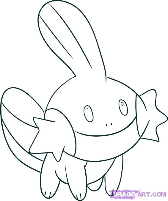 565x674 Mudkip Coloring Pages How To Draw From Coloring Pages For Adults