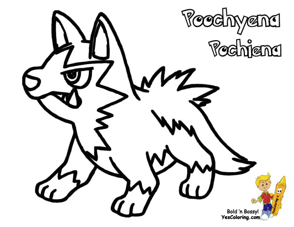 1024x791 Pokemon Torchic Evolution Coloring And Friends Pages Cartoons Page