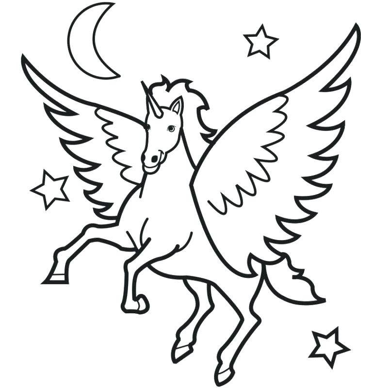 800x800 Pokemon Shaymin Coloring Pages Printable Coloring Unicorn