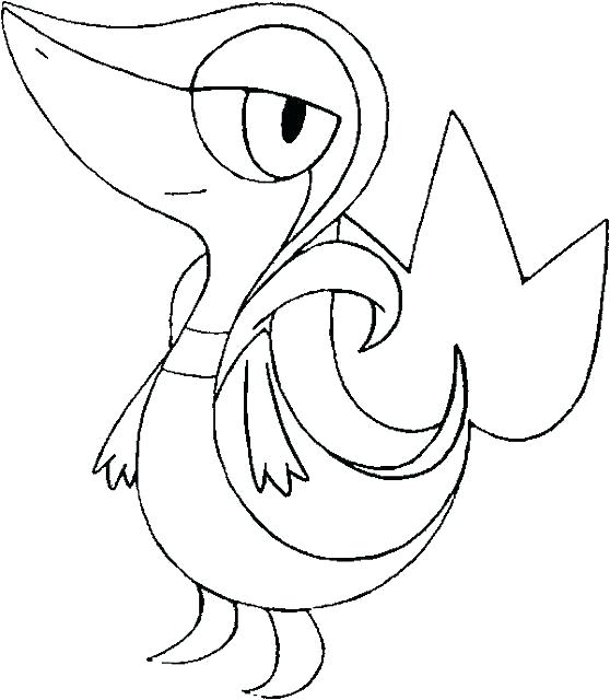558x640 Snivy Coloring Pages Coloring Pages Coloring Pages Coloring Page E
