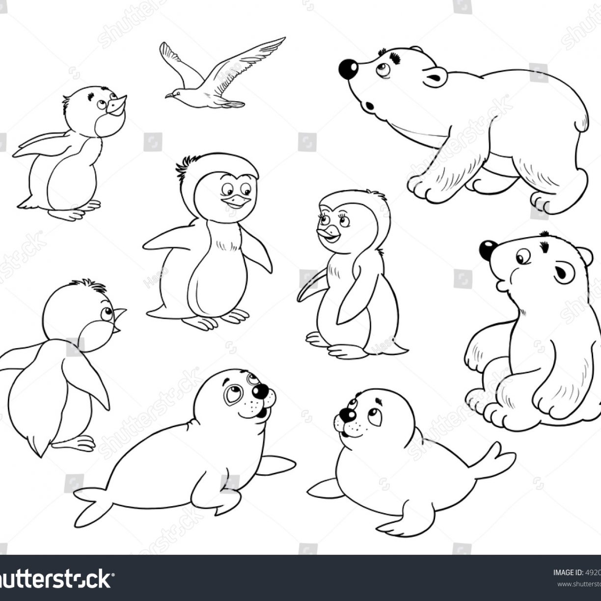 1224x1224 Arctic Animals Colouring Pages Coloring General Free Page