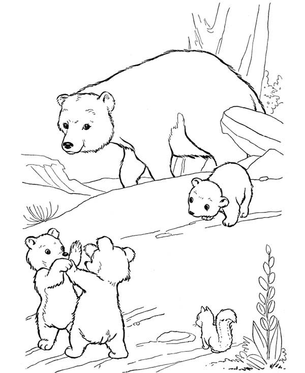 600x734 Uzak Little Bear Fight Among Themselves Coloring Page