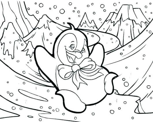 530x423 Arctic Animals Coloring Pages Free Printable Polar Bear Page