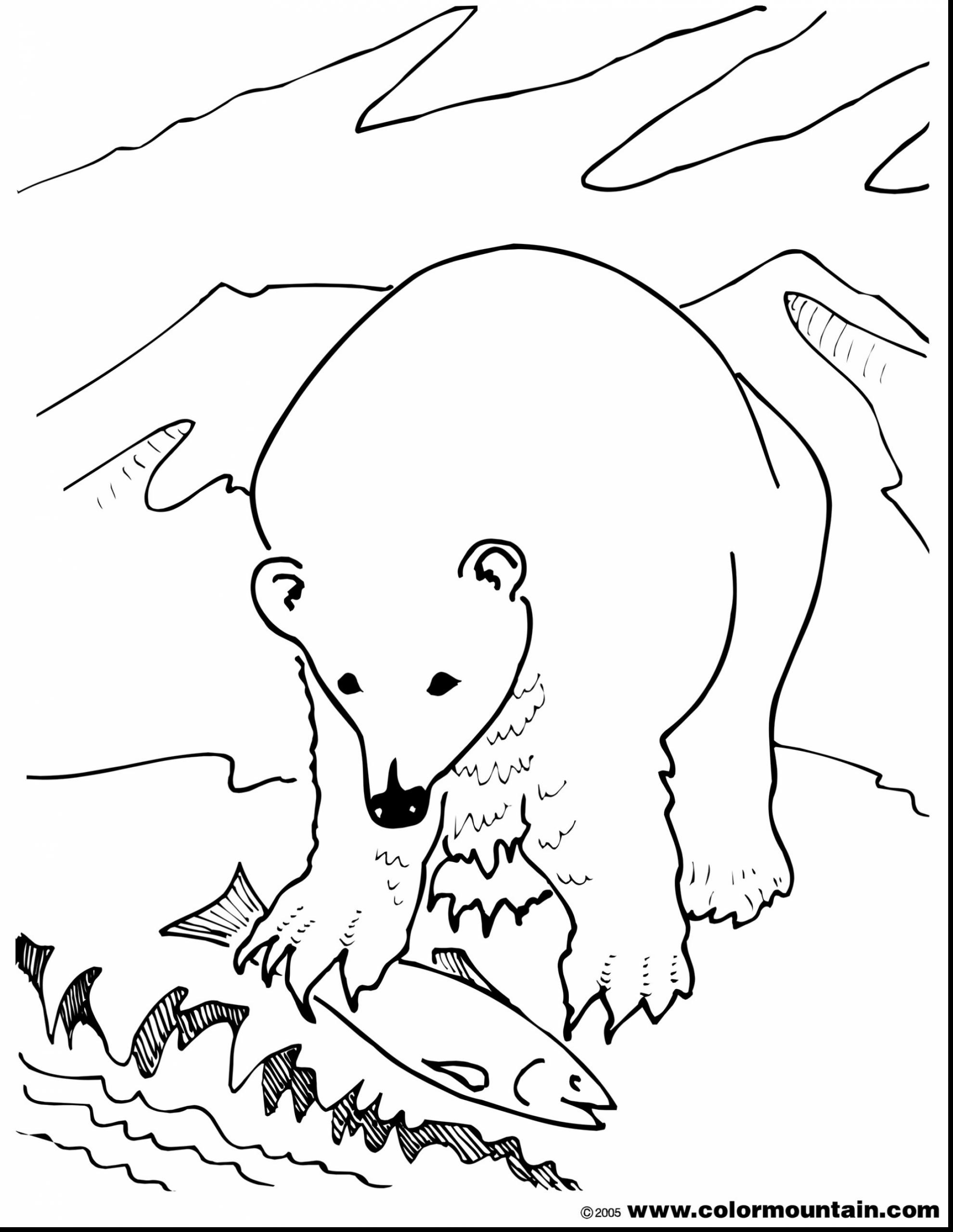 1980x2561 Polar Bear Color Page Luxury Modest Decoration Polar Bear Coloring
