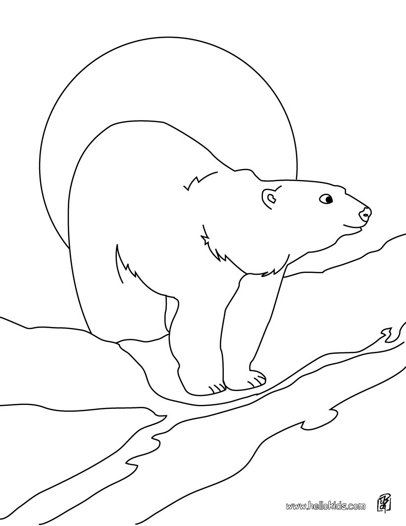 820x1060 Polar Bear Printable Coloring Pages