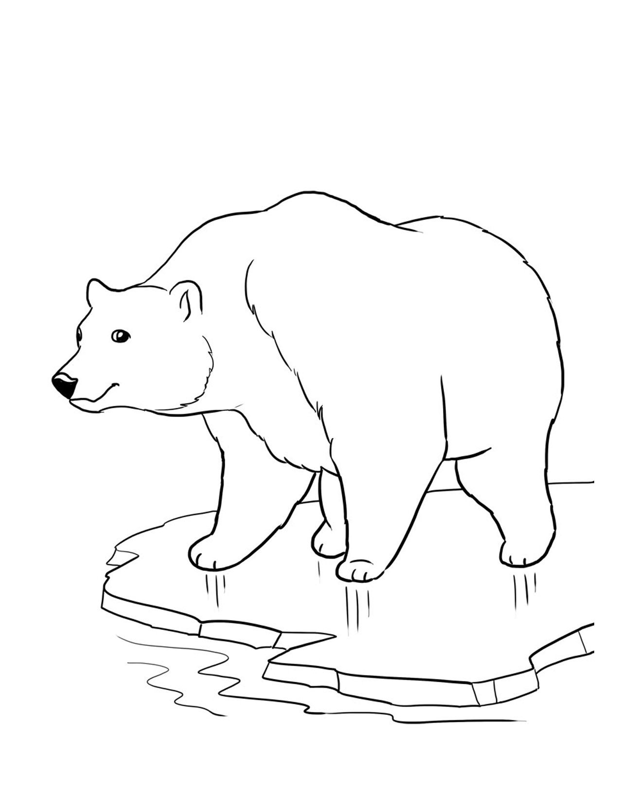 1275x1650 Powerful Polar Bear Coloring Pages Special Bears 39 2859 4891