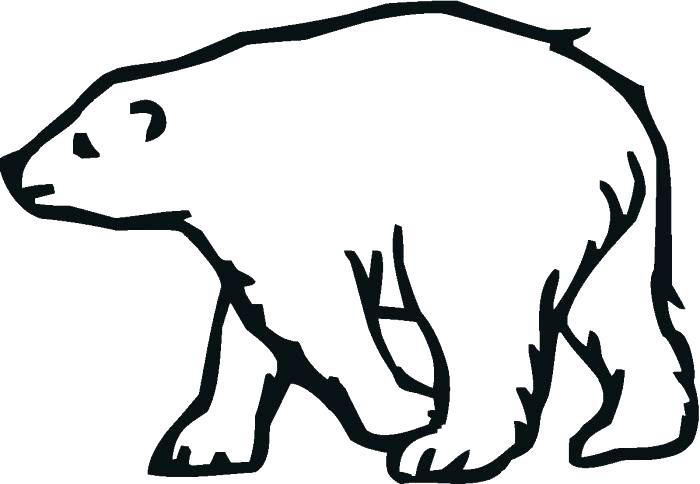 700x484 Bear Coloring