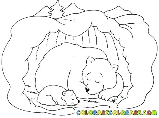 530x395 Coloring Page Bear Cool Polar Bear Coloring Page Coloring Page