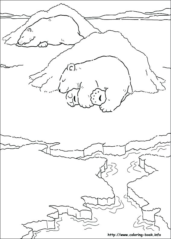 567x794 Polar Bear Coloring Sheets Bear Coloring Pages Preschool Polar