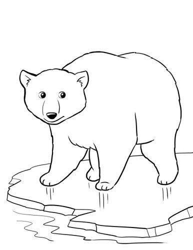 386x500 Top 10 Free Printable Polar Bear Coloring Pages Online Polar