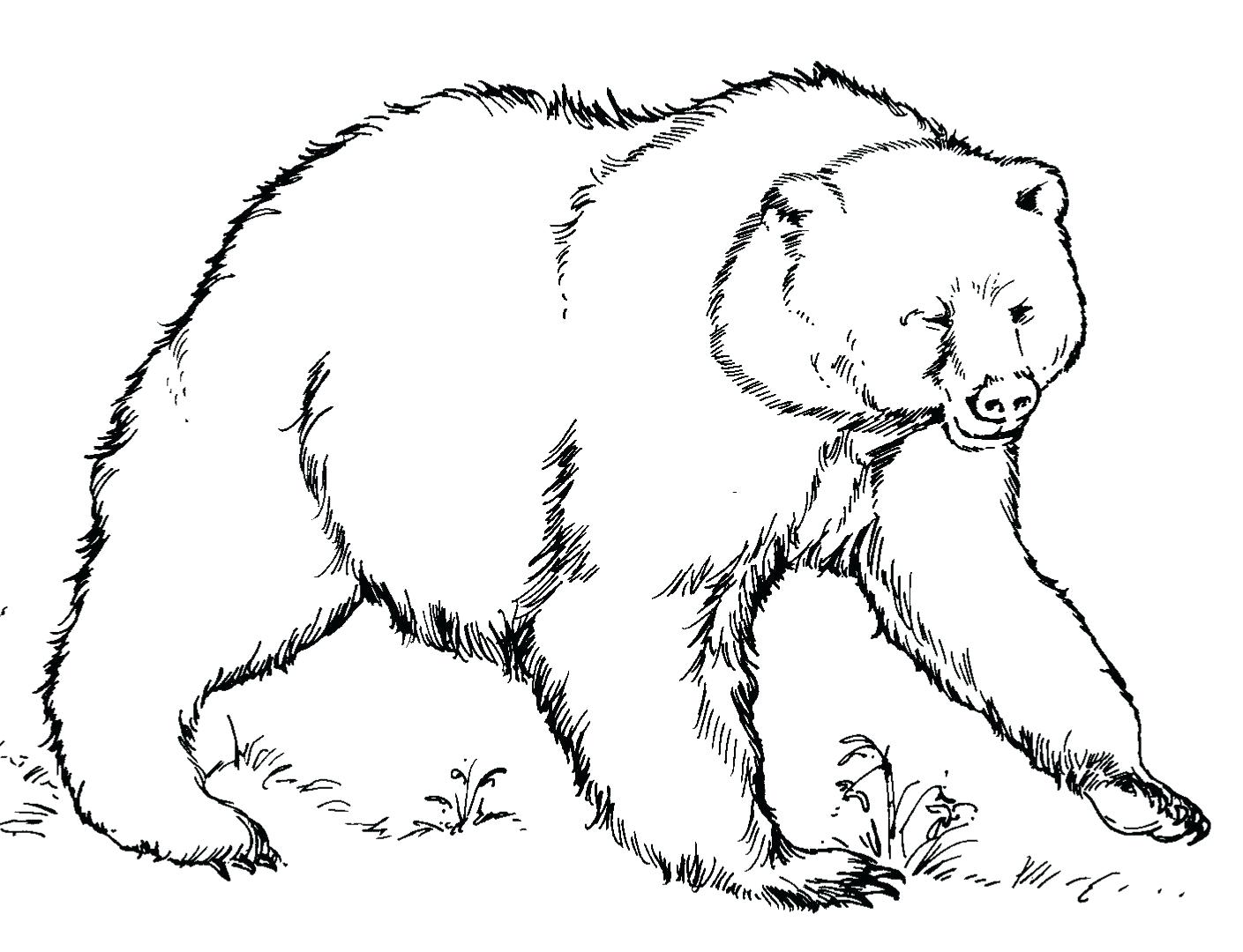 1409x1080 Coloring Pages Polar Bear Coloring Pages. Baby Polar Bear