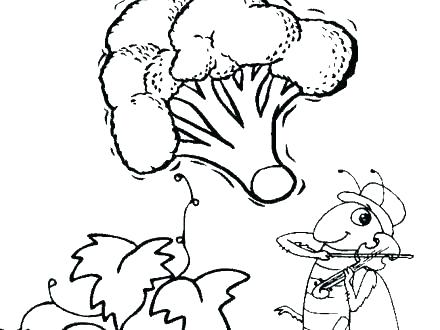 440x330 Polar Bear Coloring Pages For Preschoolers Jgheraghty.site