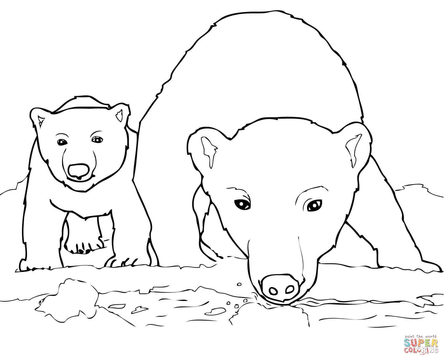 1500x1216 Lovely Curious Polar Bear Mother And Cub Coloring Page Free