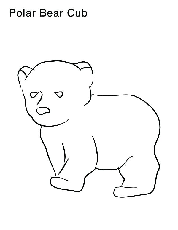 600x776 Polar Bear Coloring Pages Printable Polar Bear Coloring Pictures