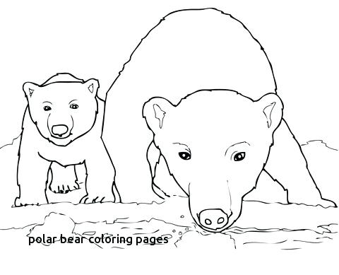 480x389 Bear Cub Coloring Pages Cub Scout Coloring Pages Cub Scout