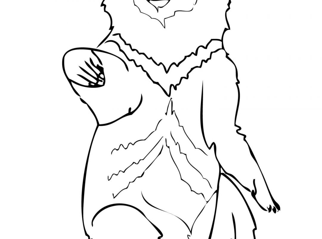 1080x800 Printable Pictures Of Polar Bears Colouring Care Freeng Teddy Bear