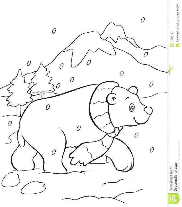 746x850 Bear Cub Coloring Sheets Baby Pages Polar Fuhrer Von