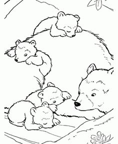 Polar Bear Printable Coloring Pages