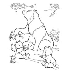 230x230 Top 10 Free Printable Polar Bear Coloring Pages Online