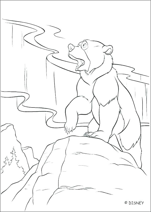 607x850 Polar Bear Coloring Sheets