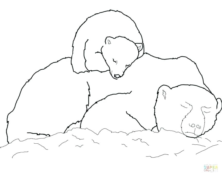 863x685 Coloring Book Polar Bear Polar Bear Coloring Pages Polar Bear