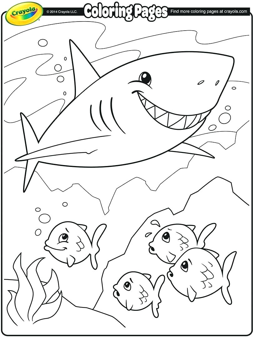 810x1080 Coloring Pages Polar Express Coloring Pages. Polar Express