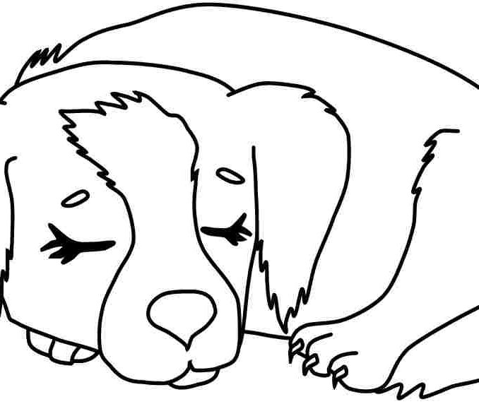 678x572 Dog Coloring Pictures To Print K 9 Police Dog Coloring Page Free