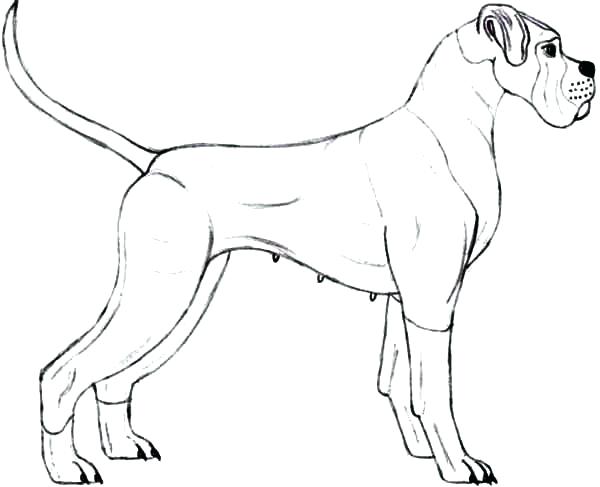 600x487 Police K9 Coloring Pages Dogs Sheets Cat And Dog Page Cats