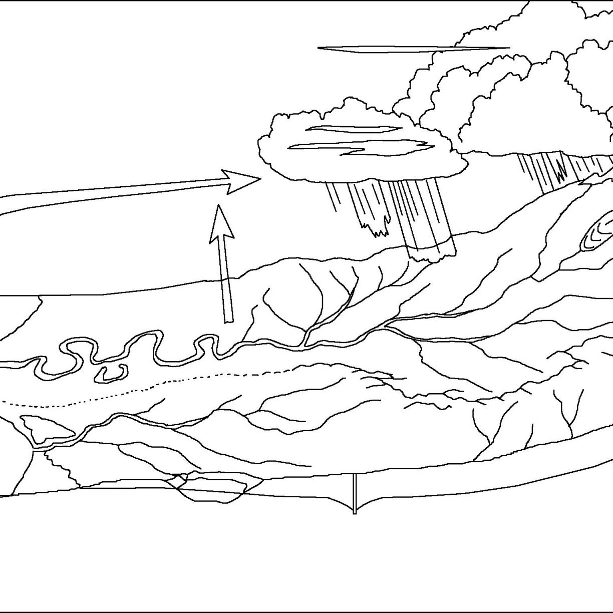 1224x1224 Water Coloring Pages For Kids Free Watering Can Animals Park High