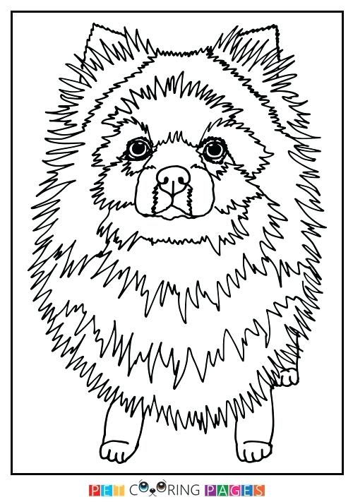 500x711 Pomeranian Coloring Pages Coloring Page Pomeranian Puppy Coloring