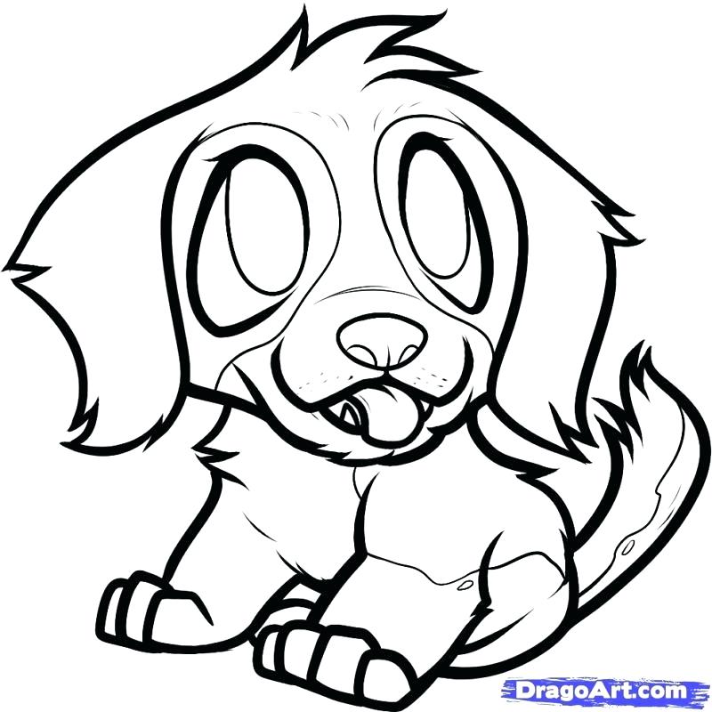 800x800 Pomeranian Coloring Pages Hippie Coloring Page By Pomeranian Puppy