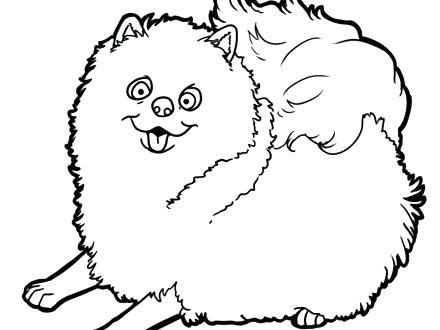 440x330 Coloring Pomeranian Coloring Pages Puppy. Pomeranian Coloring Pages