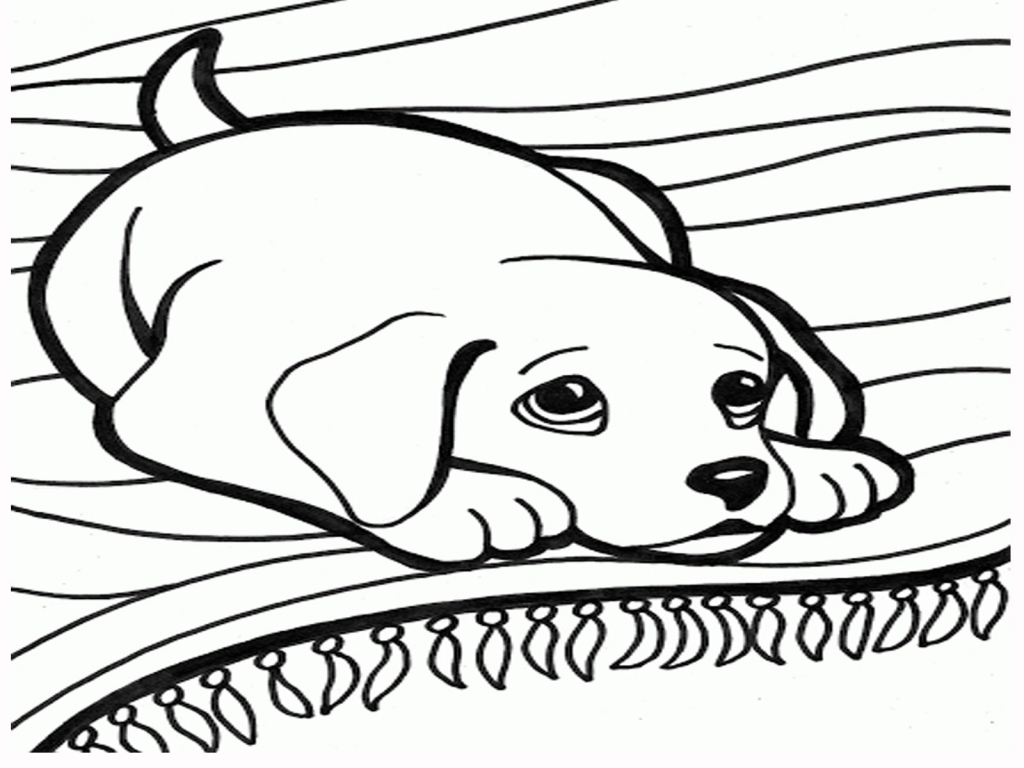 1024x768 Awesome Pomeranian Puppy Coloring Pages Coloring For Kids