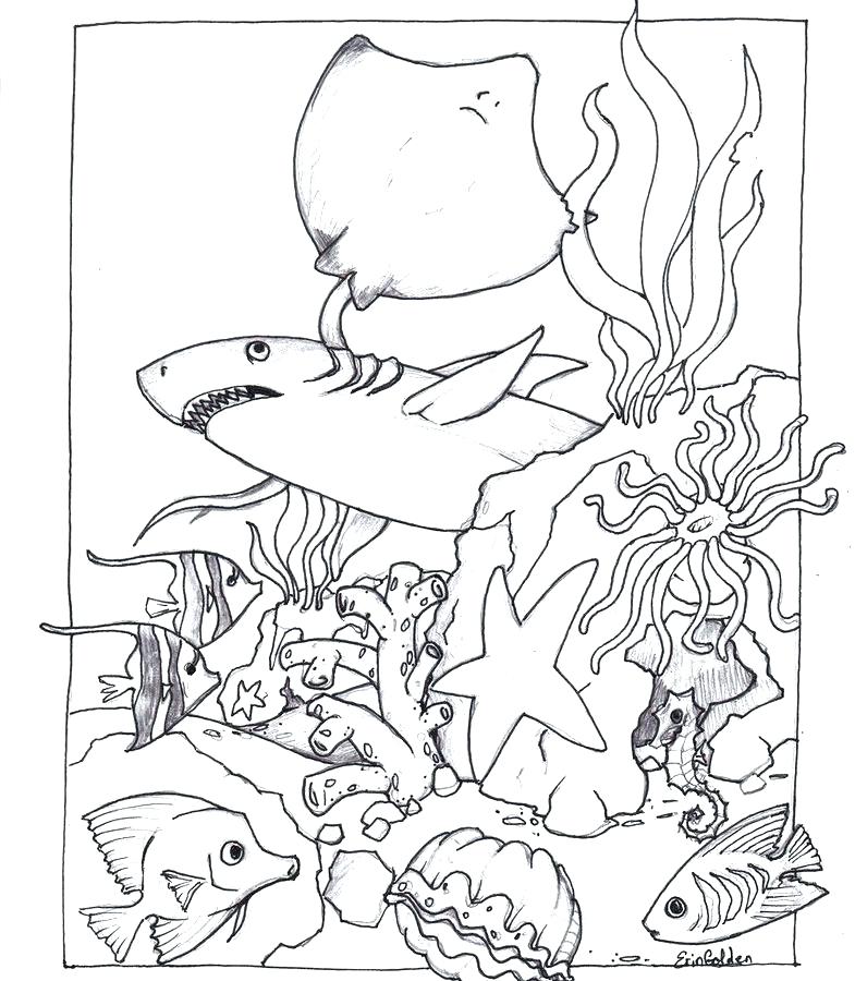 Pond Animals Coloring Pages
