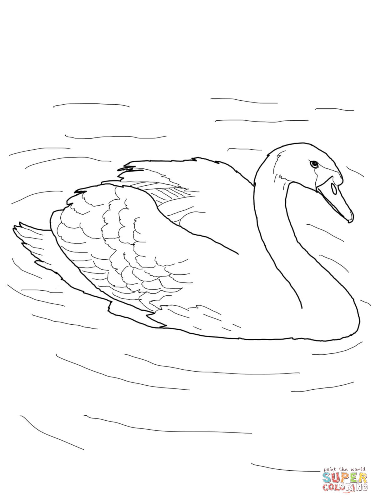 1200x1600 Largest Pond Animals Coloring Pages Mute Swan