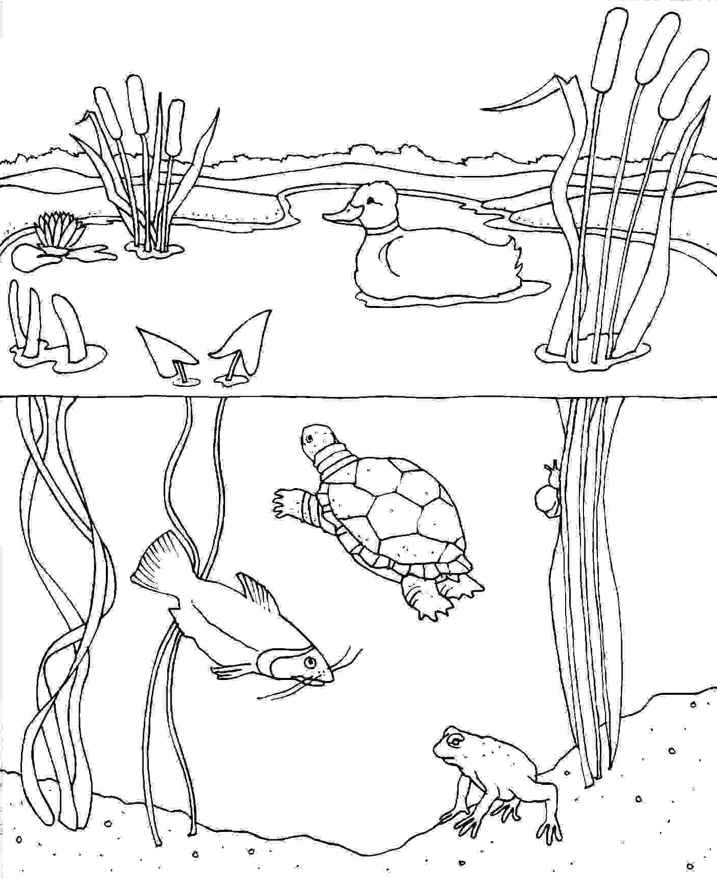 1402x1718 Ocean Habitat Coloring Pages Image To Print Free Printable Animals