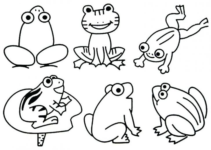 728x519 Pond Animals Coloring Pages