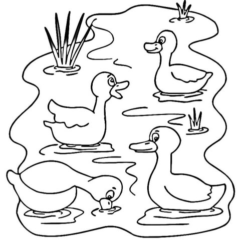 475x480 Pond Animals Coloring Pages