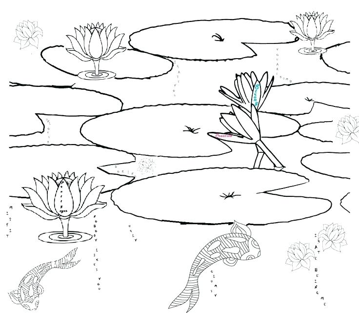 736x641 Pond Coloring Page Pond Animals Coloring Page Pond Coloring Pages