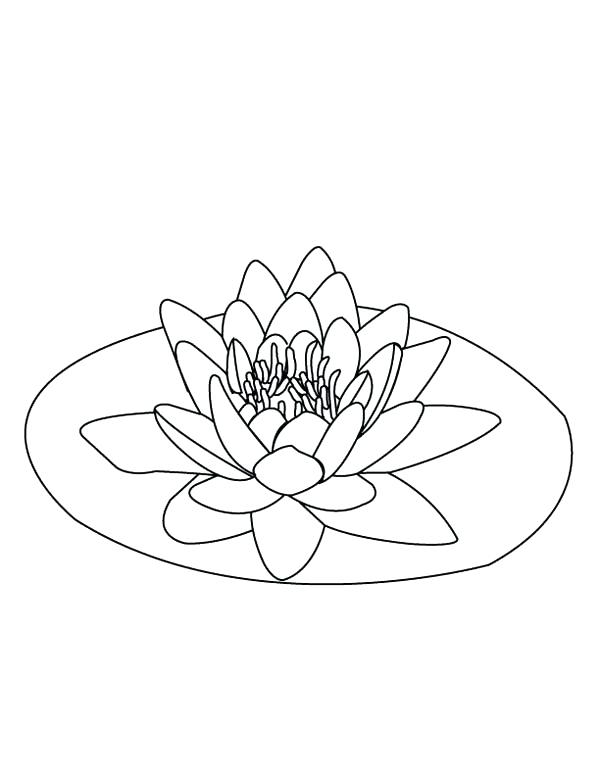 600x776 Pond Coloring Pages Pond Coloring Page Pond Habitat Coloring Pages