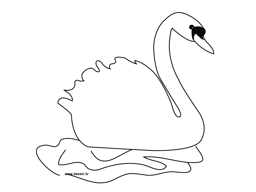 1024x768 Strange Pond Animals Coloring Pages Swan Anima
