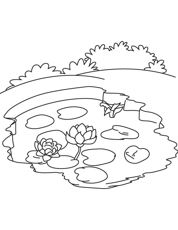 612x792 Water Lily Pond Coloring Page Download Free Water Lily