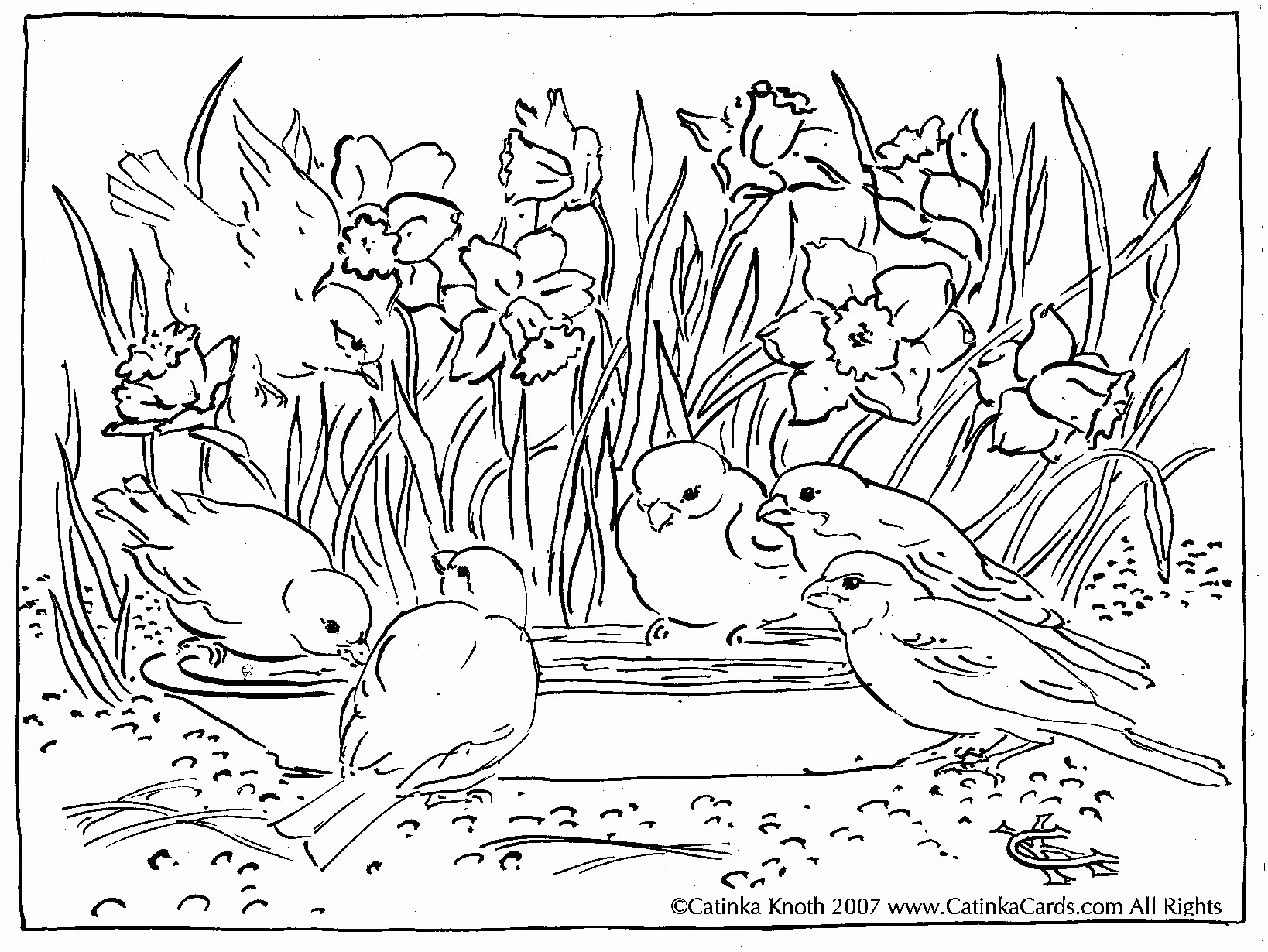 1638x1230 Introducing Pond Animals Coloring Pages Personalized Unique Scene