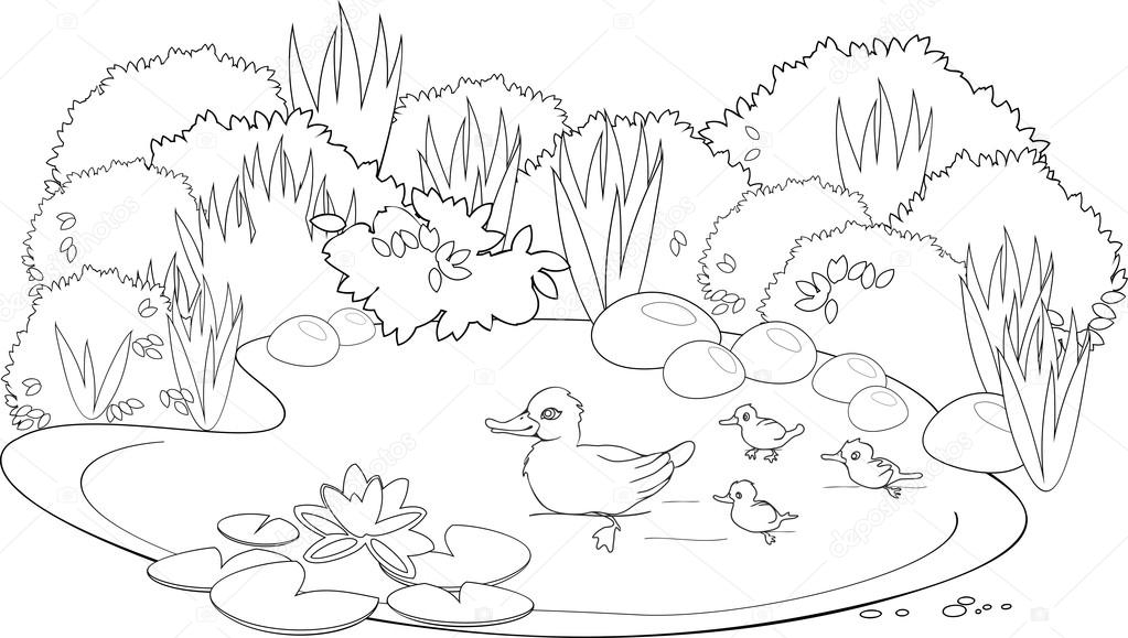Pond Coloring Pages